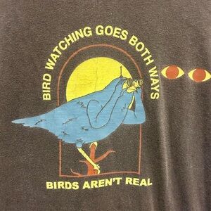 Gray “Birds aren’t real” graphic tee